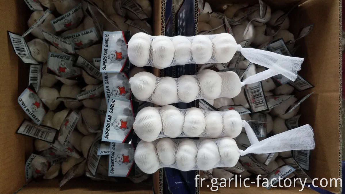 New crop garlic fresh garlic price